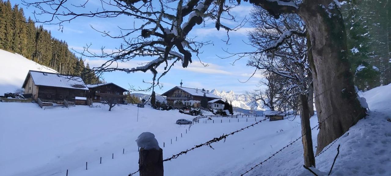 Michis Aparthotel Flachau Exteriör bild